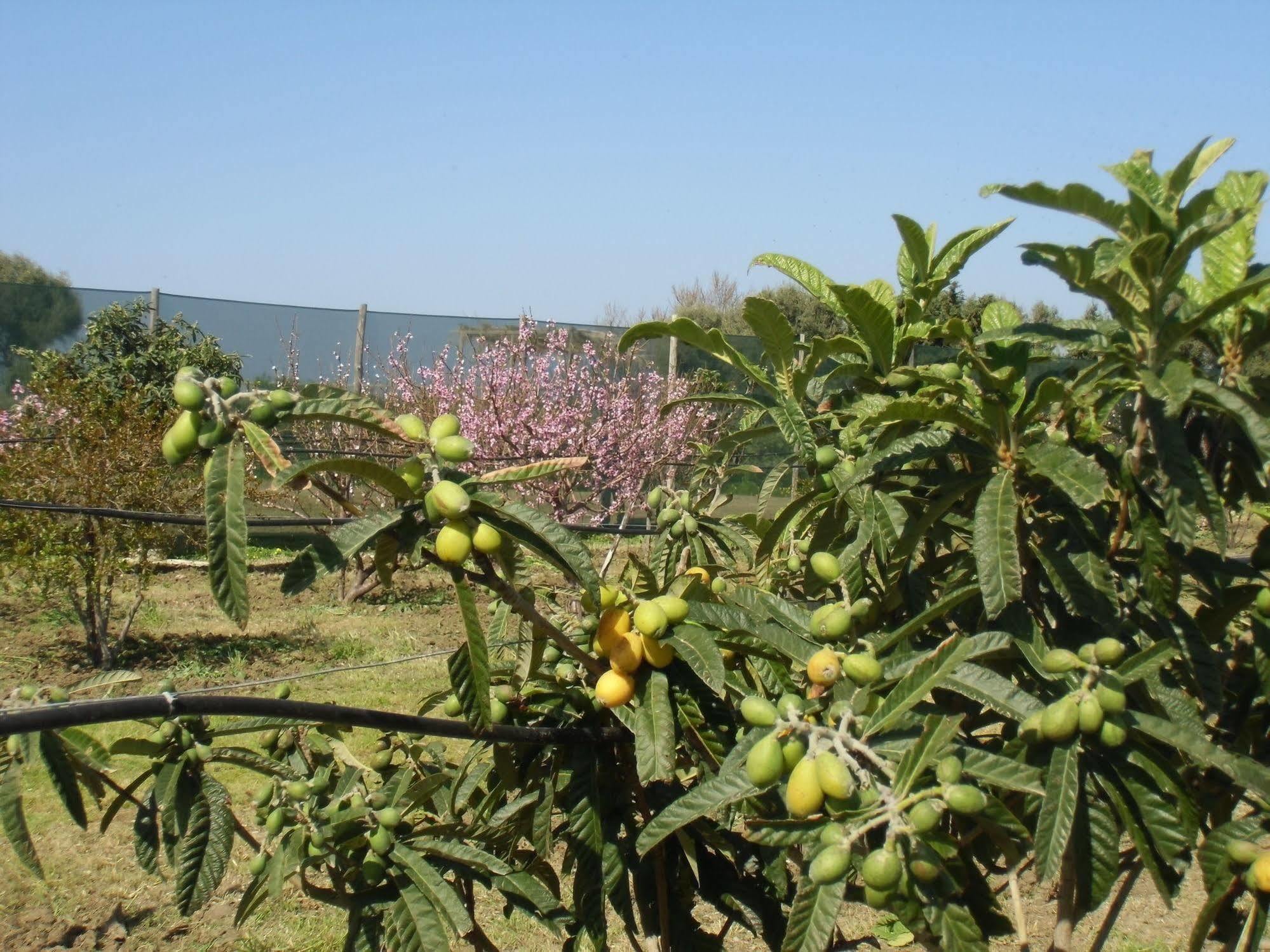 Stella Di Sicilia San Fratello Exterior foto